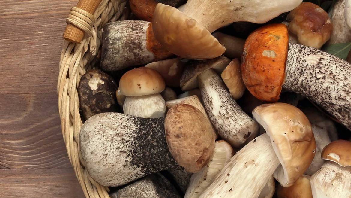 Selecting & Storing Fresh Mushrooms